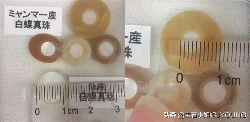 南洋珍珠金珠,妖紫珍珠和南洋金珠哪个好