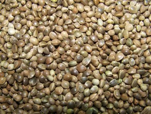 读史三字经,读史明事三字经全文