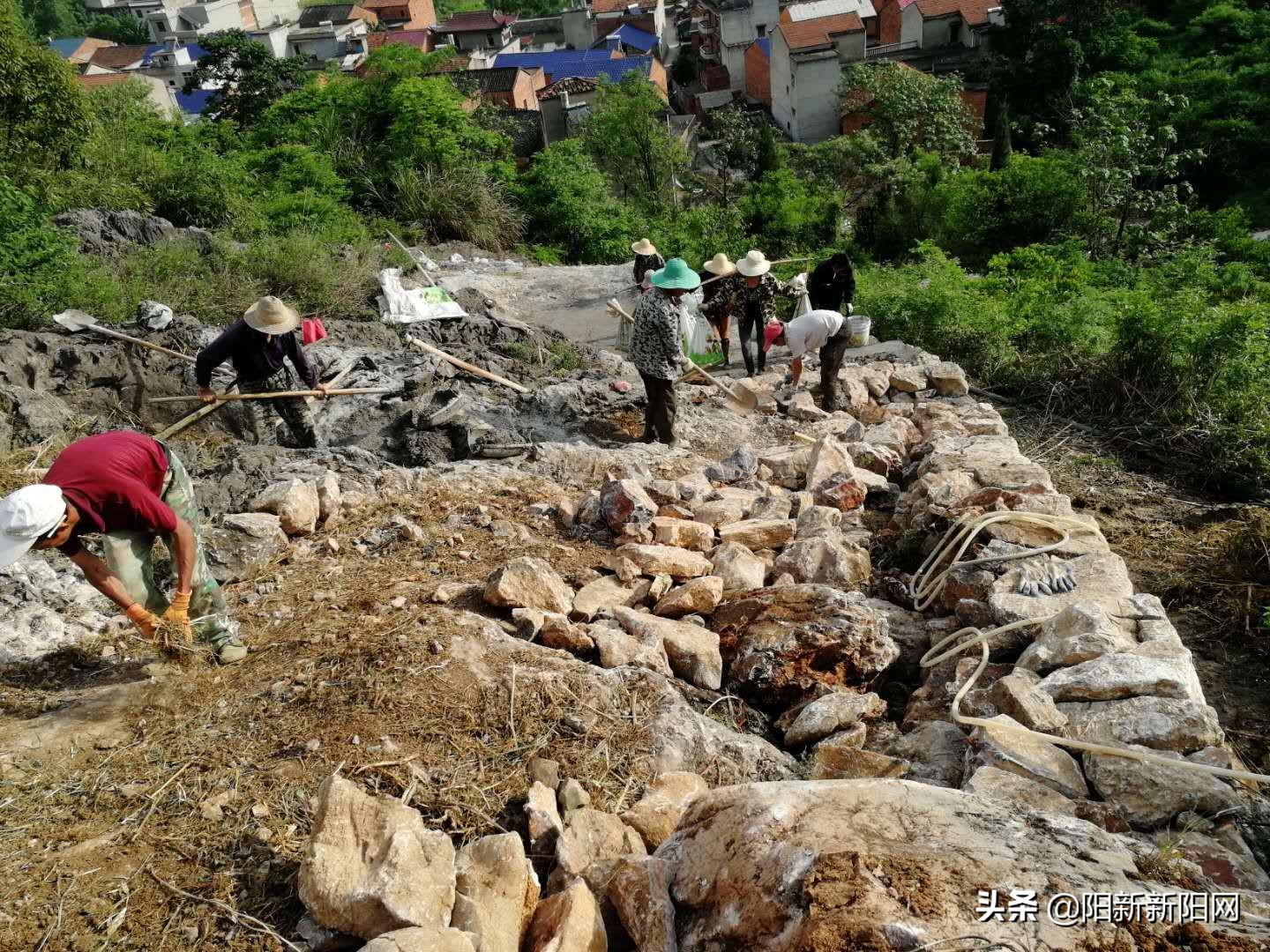 阳新县黄颡口镇发展,黄颡口镇农村建设规划