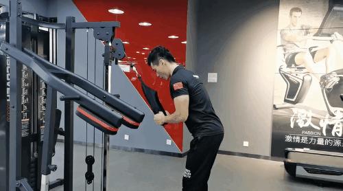 健身房健身器材训练全套,健身房肌肉训练器材视频