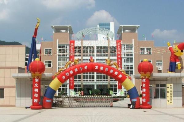 上海民办外国语小学排名,上海前十名国际小学