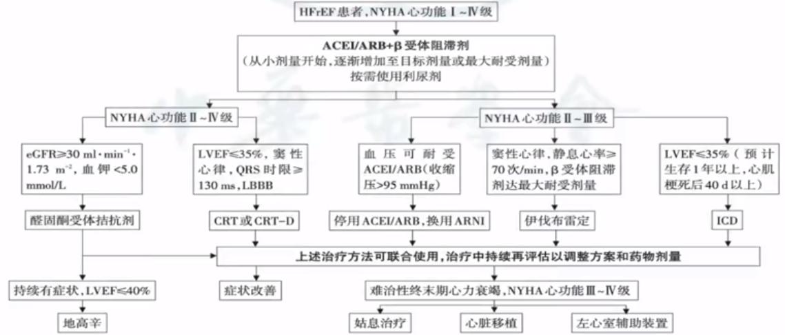 周京敏医生简历,罗民教授治疗扩张型心肌病