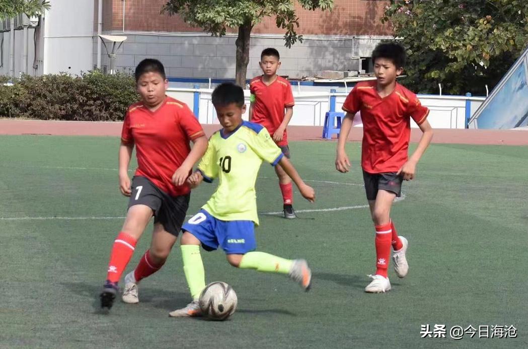 厦门海沧前十名重点小学,点赞我市两所学校荣获省级称号