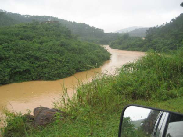农村河沟里的塘角鱼,因其肉质细嫩,又非常好钓,深受人们喜爱