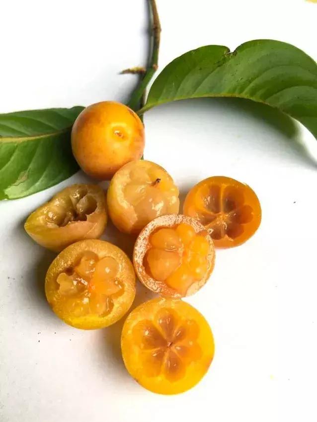 他的工作是厨师的英文,他的工作是什么英文句子