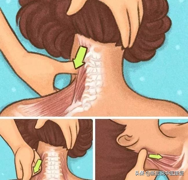 马杀鸡按摩指南,马杀鸡脸部spa按摩助眠