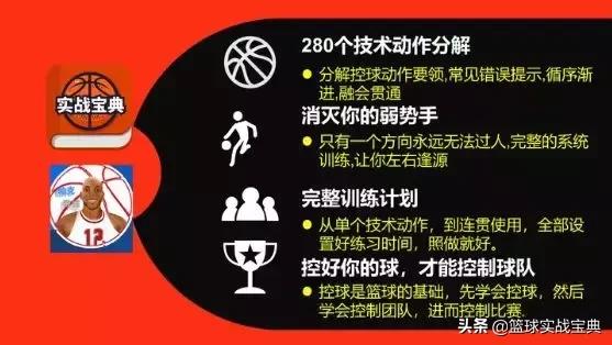 消灭小黑飞最高效最彻底的方法,消灭篮球小白