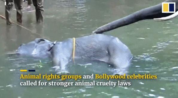 15岁怀孕，她被骗吃下*药炸**，一尸两命：有些人，这辈子不配为人