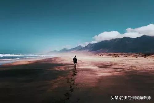 谈了78个男朋友,谈了50个男友