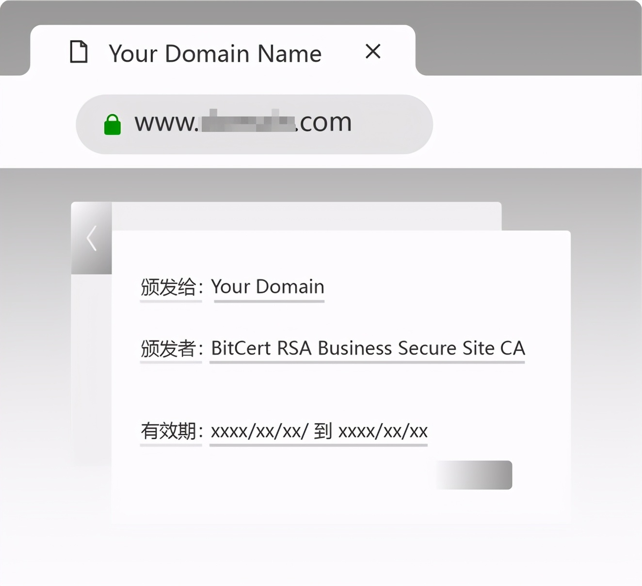 什么是ssl指标,什么叫ssl通俗