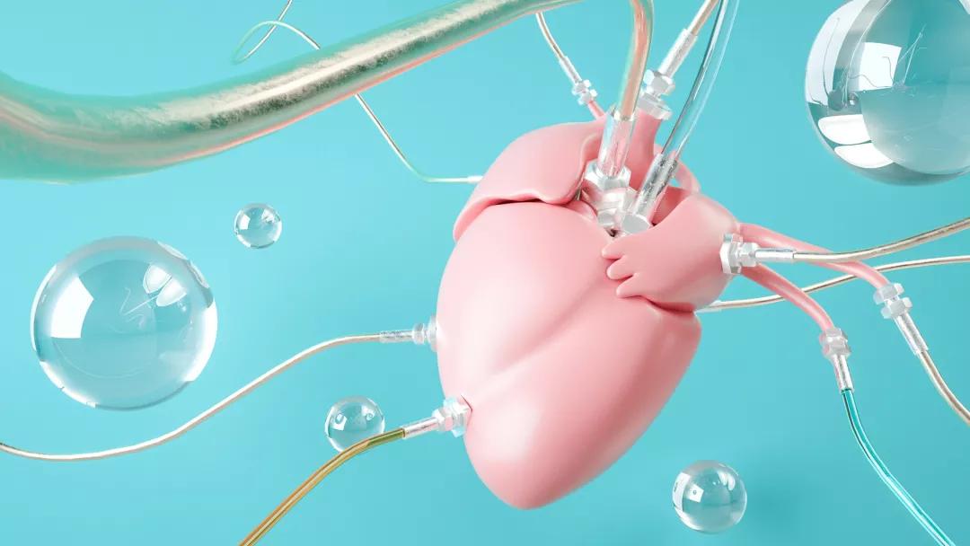 “心律不齐”到底要不要治疗？这一次跟你说明白