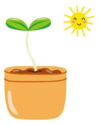 花木兰街馄饨,花木兰云吞店