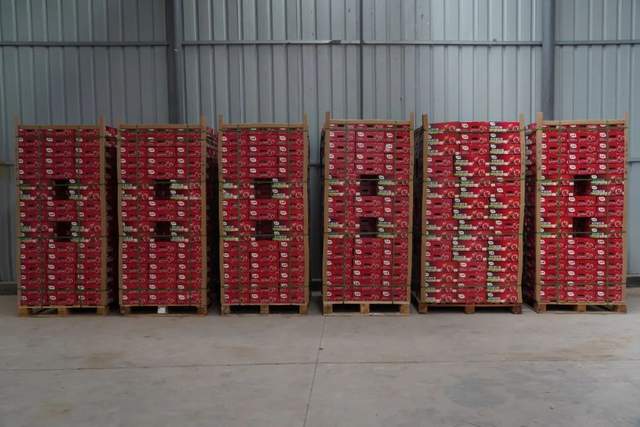 直播卖石榴奇葩问题,石榴卖惨带货现象调查博主