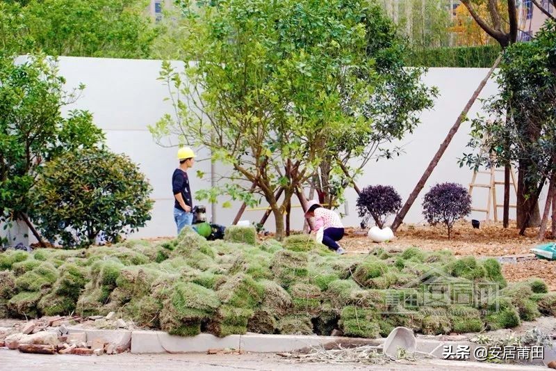 一周楼市：棠霞地块正荣速度开工，NBL莆田赛区火热打响中