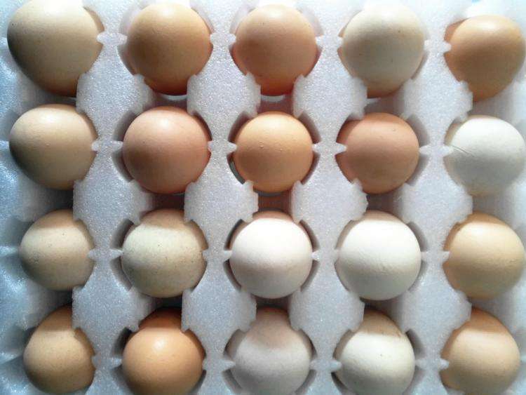 怎样让鸡蛋不破方便携带出门,鸡蛋怎么带出门不磕坏