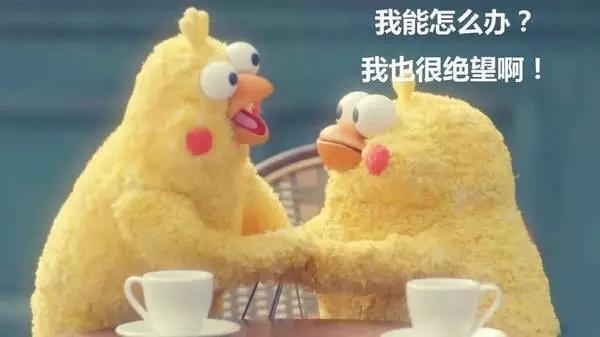 这几天的松江，可真叫人左右为“楠”……