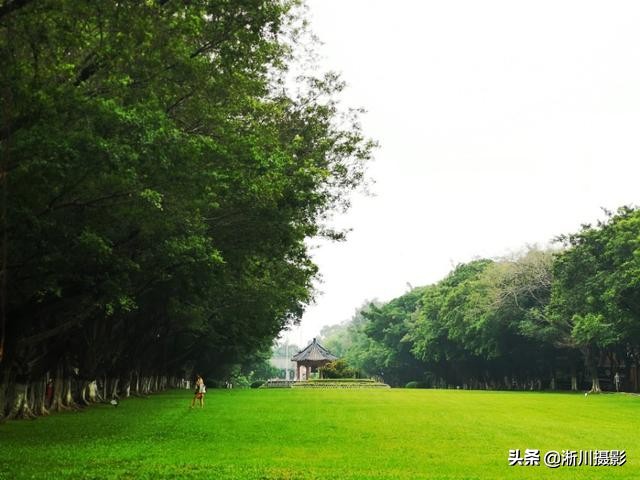 中国最美丽的校园照片,中国最美丽的校园中山大学南校区