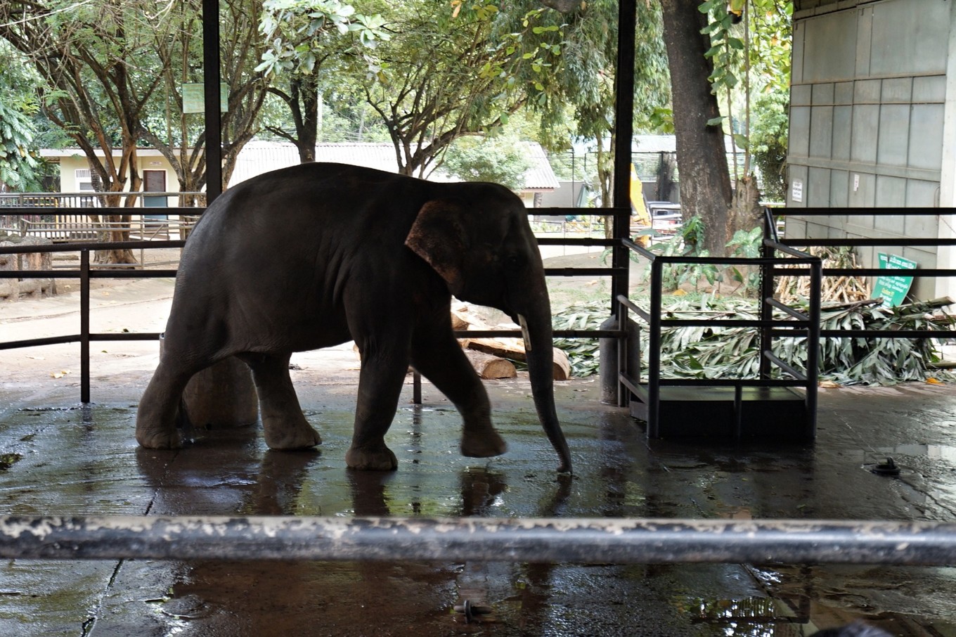 带着甜甜奶茶香的斯里兰卡小环岛之旅+两家安缦全体验