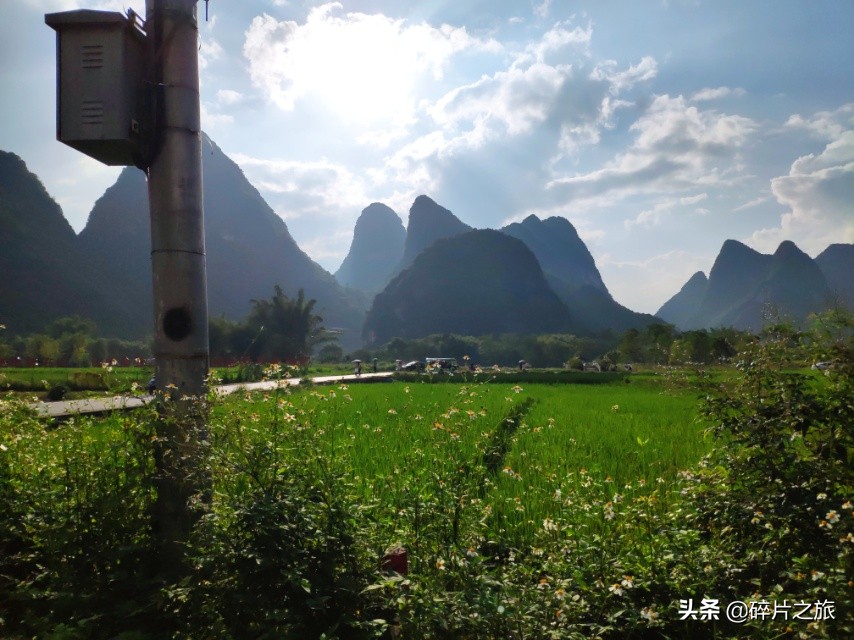 不去后悔去了更后悔,不去后悔去了