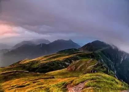 大自然的规律和启示,大自然的预知能力