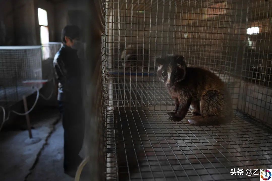 小人物摄影优秀作品,摄影师盘点2020年照片