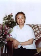 河南豫剧流派,豫剧流派代表剧目