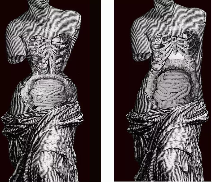 欧洲紧身胸罩的历史,欧洲紧身胸罩介绍