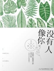 圣诞节来点调料,圣诞节来点仪式感