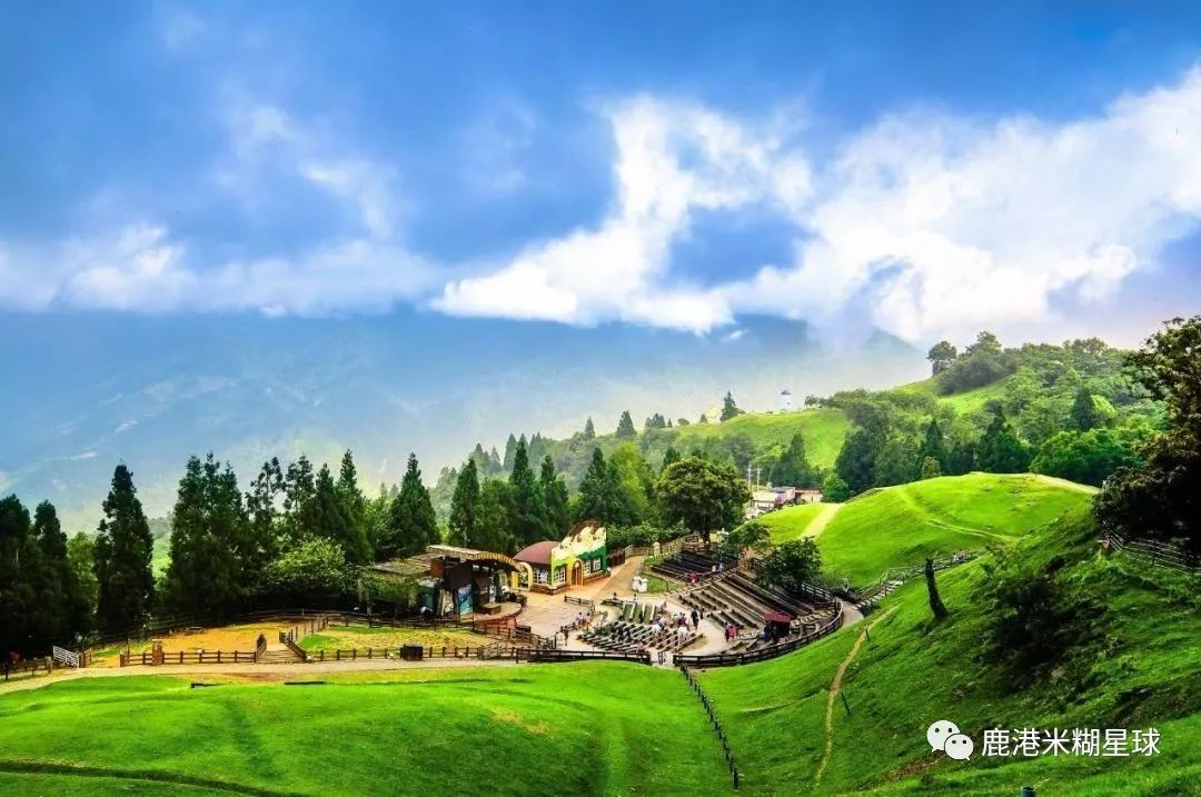 台湾米糊企业向湖北宝宝免费赠送30天米糊