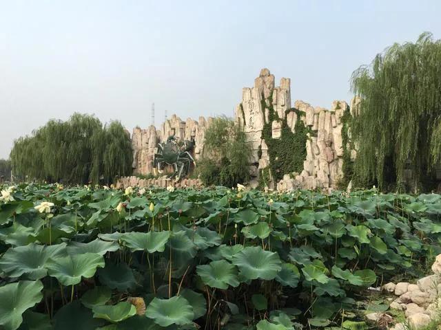 北京蟹岛绿色生态度假村的介绍,北京蟹岛绿色生态度假村酒店