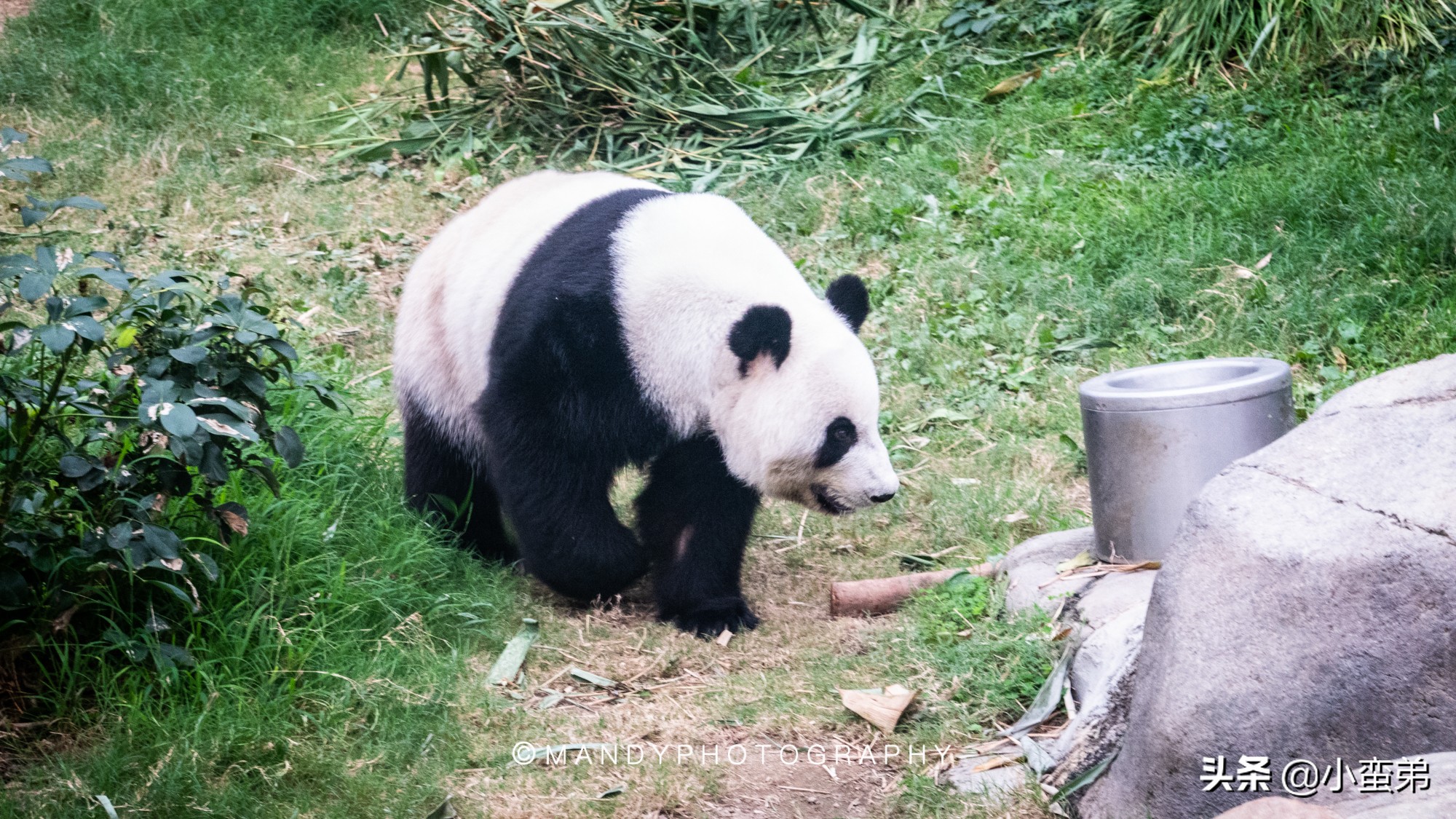 香港巡礼|是谁！敢拿水枪给20岁的海贼王庆生？