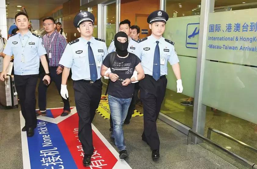 “净网2019”380余个P2P平台崩塌！千万要注意，沾上就血本无归