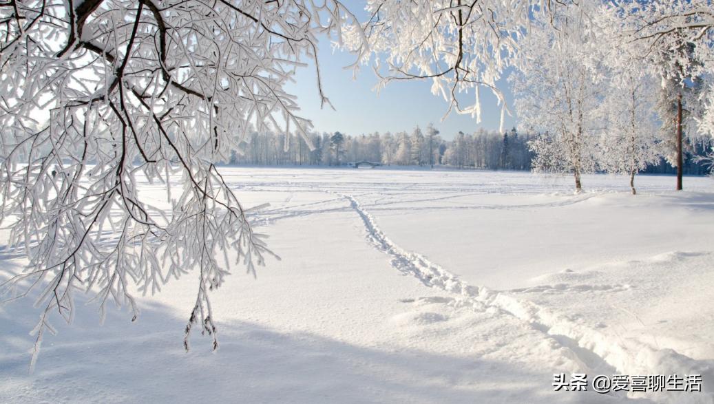 为什么蒸包子一揭盖包子就塌陷,如何把包子蒸得蓬松柔软