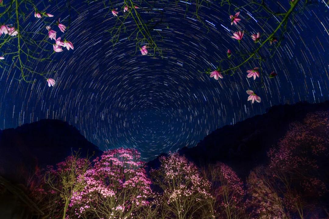 香港第14届全国摄影艺术展,第29届全国摄影艺术展览获奖名单