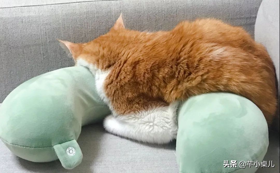 在家做超简单甜品,宅家美食记完整版