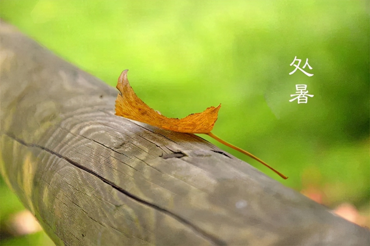 处暑是什么意思处暑的来历和风俗,处暑节气的含义是什么处暑吃啥好