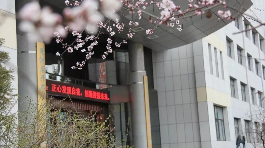 辽宁省本溪市高级中学,本溪市高级中学2021高考成绩