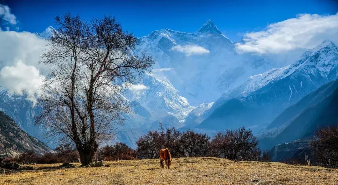 10月旅行地推荐最适合初秋出游,10月最适合慢慢旅游的地方