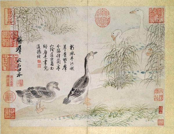 恽南田画作馆藏品,恽寿平花鸟山水蔬果图册博物馆藏