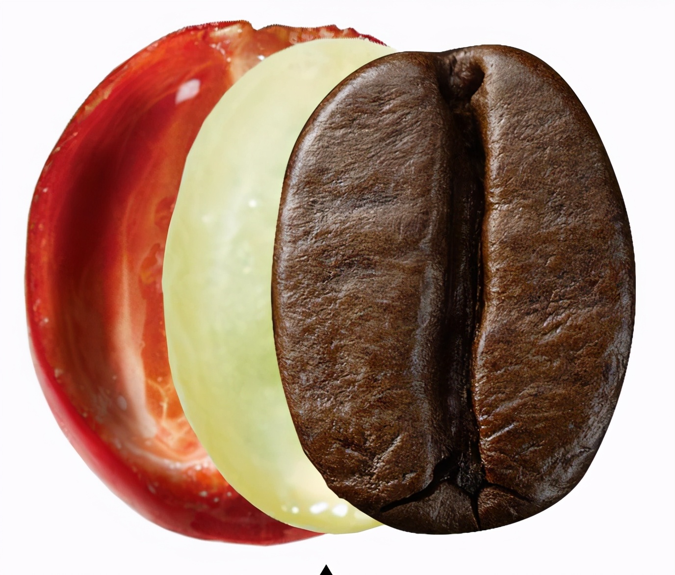 哥斯达黎加咖啡特点,哥斯达黎加咖啡风味