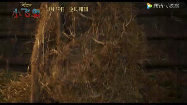 谁喜欢小飞象,谁还记得以前的小飞象