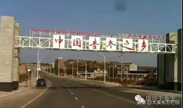 大美东方栏目新乡,大美东方高一61班直播