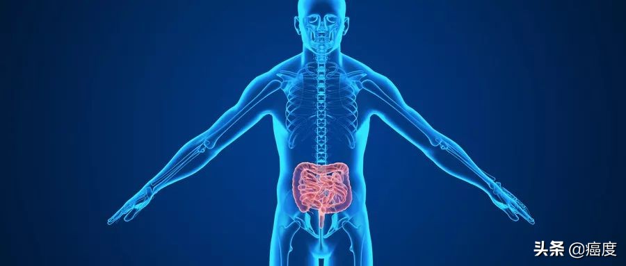 肠癌四期用爱必妥存活期,爱必妥治疗野生型结肠癌