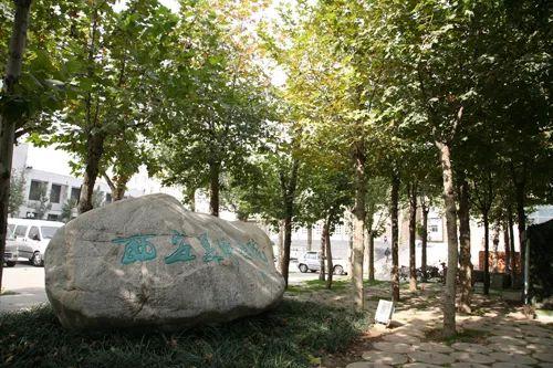 西安美院：中国九大美院之一，我国最早开办艺术专科的院校之一