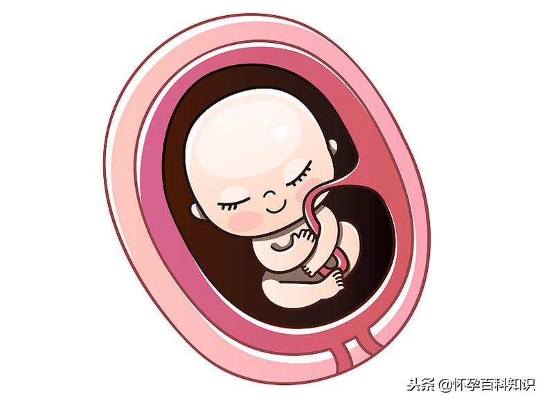 第一次胎动是什么样的感觉,宝宝第一次胎动是什么感觉