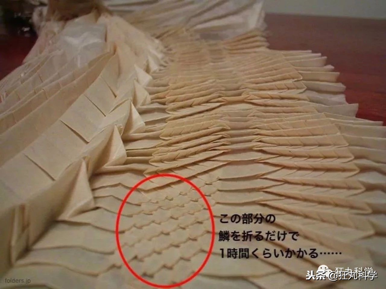 折纸大神的所有折纸,折纸大神教折纸