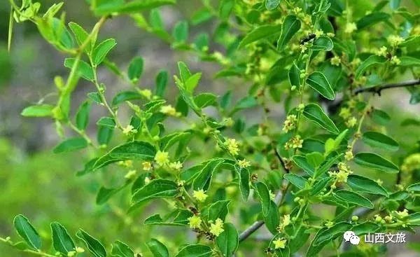 山旅忻州，第十三站，保德县——取义“民保于城，城保于德”