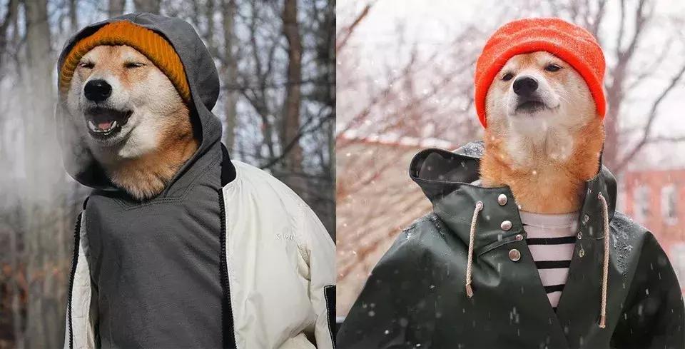 gucci和supreme联名马丁靴,guccisupreme鞋子