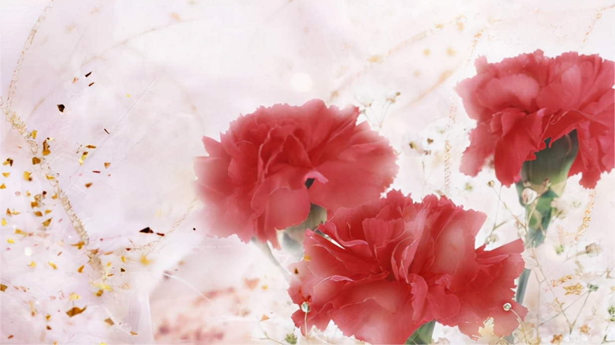 五年级作文我想对你说思维导图,三年级学生习作我的妈妈思维导图