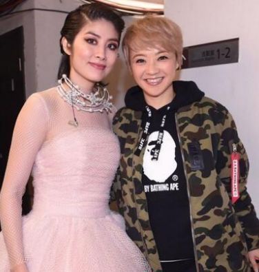 香港明星颁奖典礼梅艳芳蓝洁瑛,梅艳芳与蓝洁瑛谁的影响力大